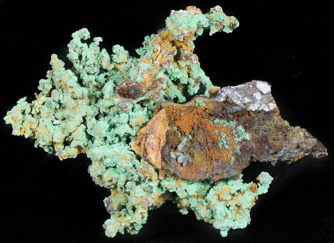 Natural, Native Copper Formation - Morocco #45457